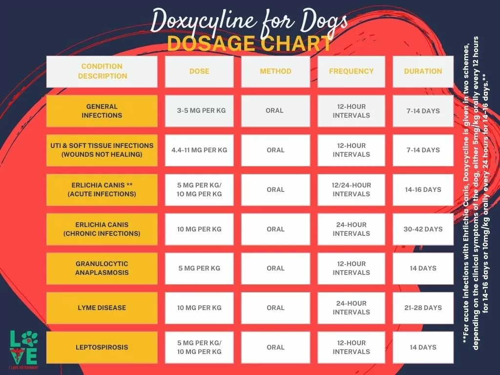 Doxycyline for Dogs Dosage Chart