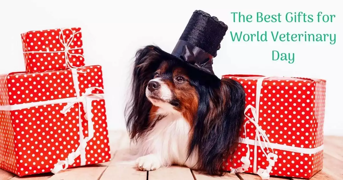 The Best Gifts for World Veterinary Day I Love Veterinary