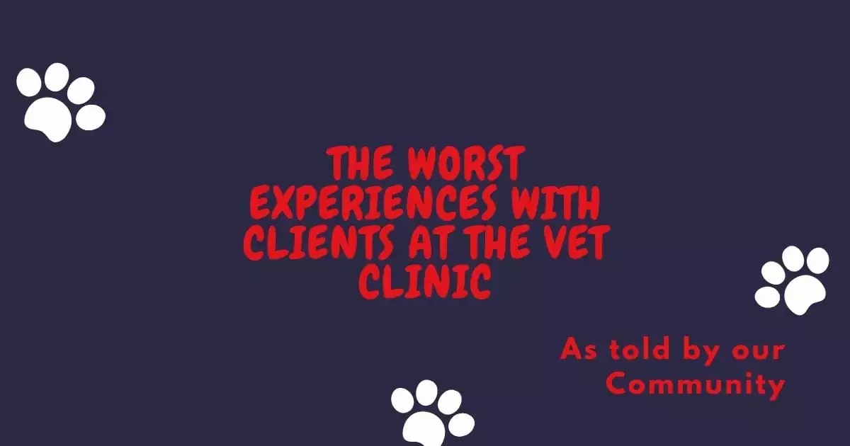 The worst experiences with clients at the Vet Clinic - I Love Veterinary