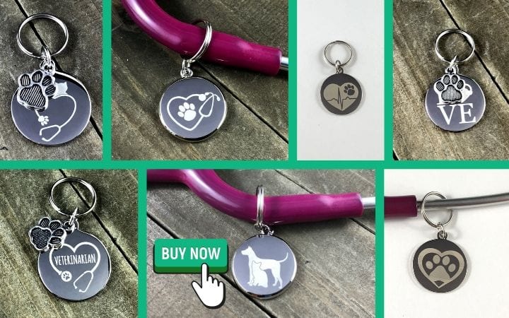 stethoscope tags, graduation gifts for veterinary students by I Love Veterinary 