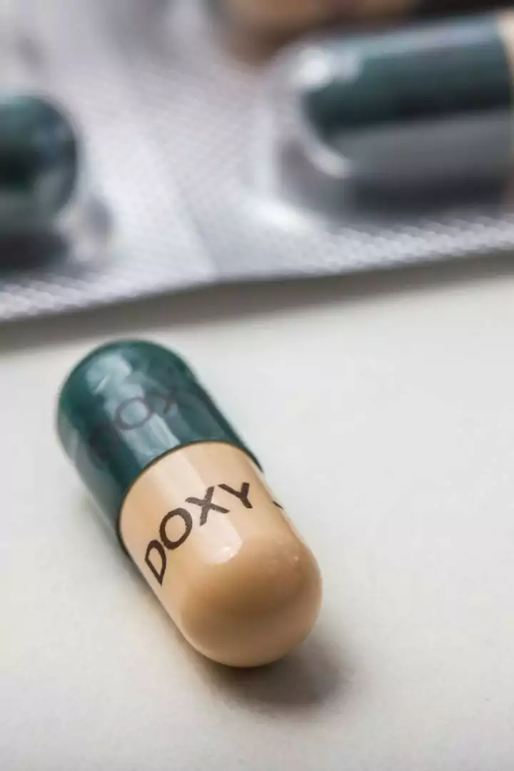 doxycycline dose for dogs