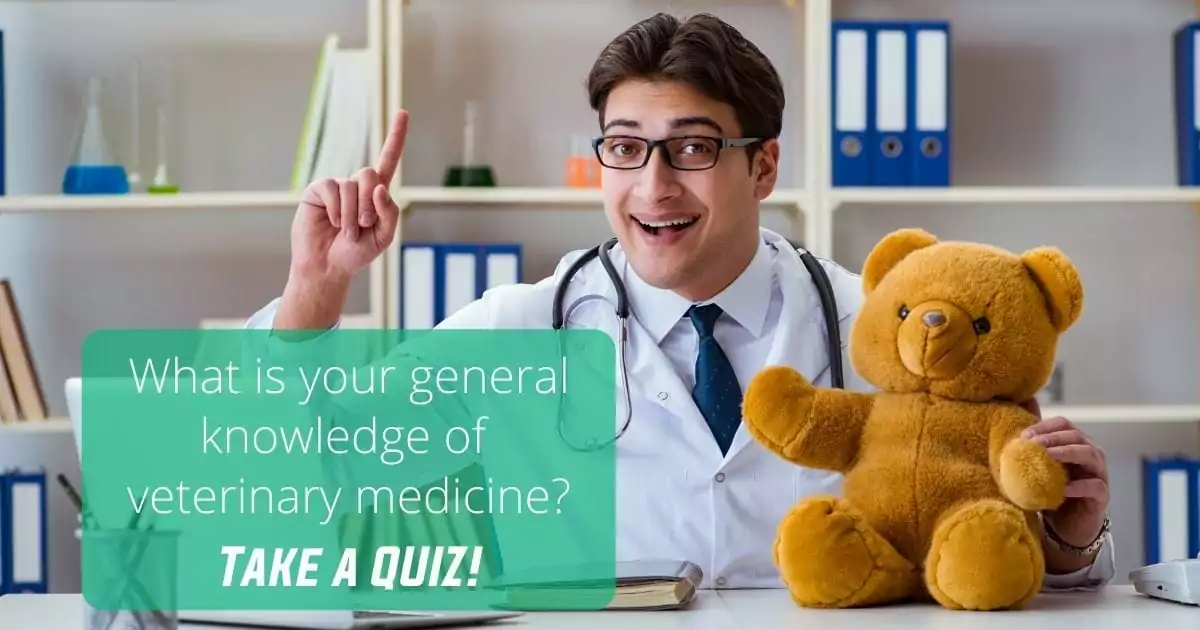How is your general knowledge in veterinary medicine 1 I Love Veterinary - Blog for Veterinarians, Vet Techs, Students