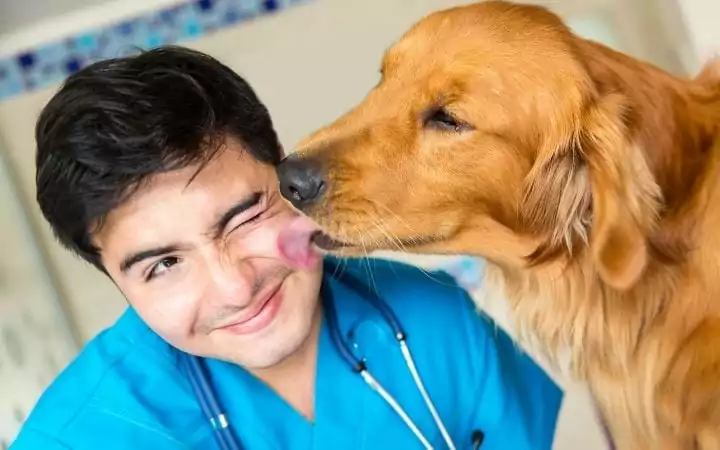 veterinarian and a dog I Love Veterinary