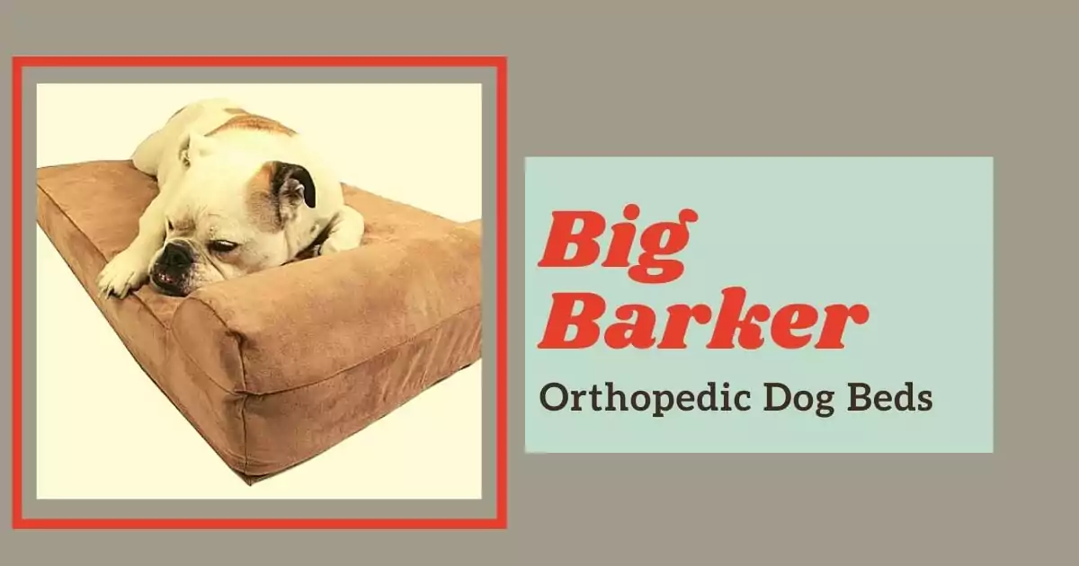 Big Barker dog bed review - I Love Veterinary
