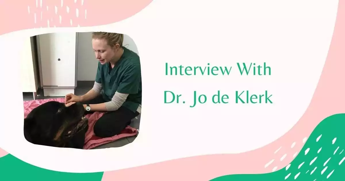 Interview With Dr Jo de Klerk by I Love Veterinary