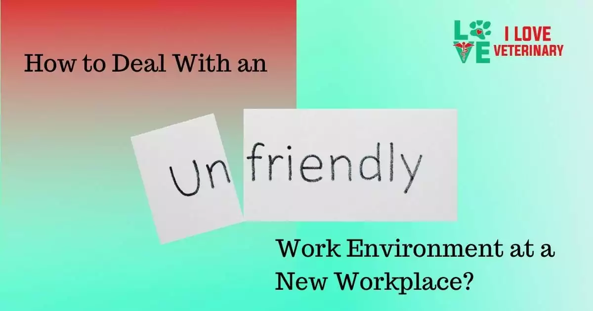 How to Deal With an Unfriendly Work Environment at a New Workplace - I Love Veterinary