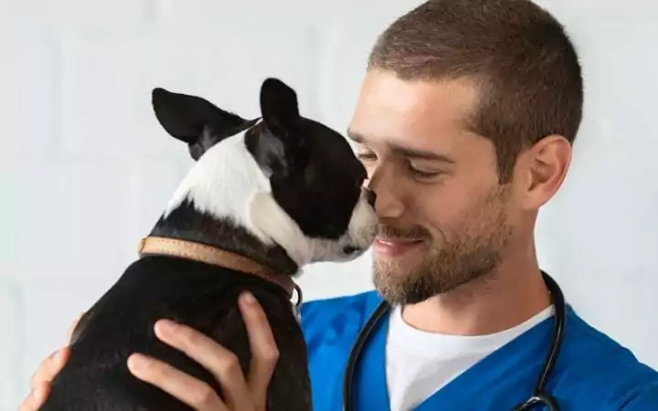 Dog and vet nurses - I Love Veterinary
