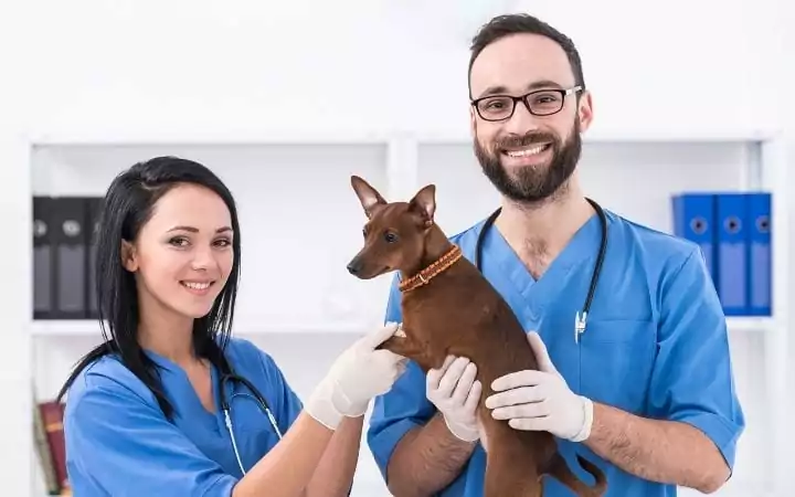 Veterinary practice tips and veterinarians with dog by I Love Veterinary