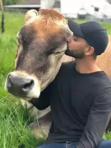 Aman with cow , Interview with Aman Kanwar - I Love Veterinary