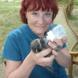 Abbie with baby racoon, Interview With Abbie Deleers - I Love Veterinary
