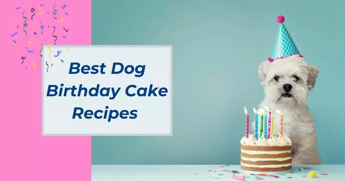 Best Dog Birthday Cake Recipes - I Love Veterinary