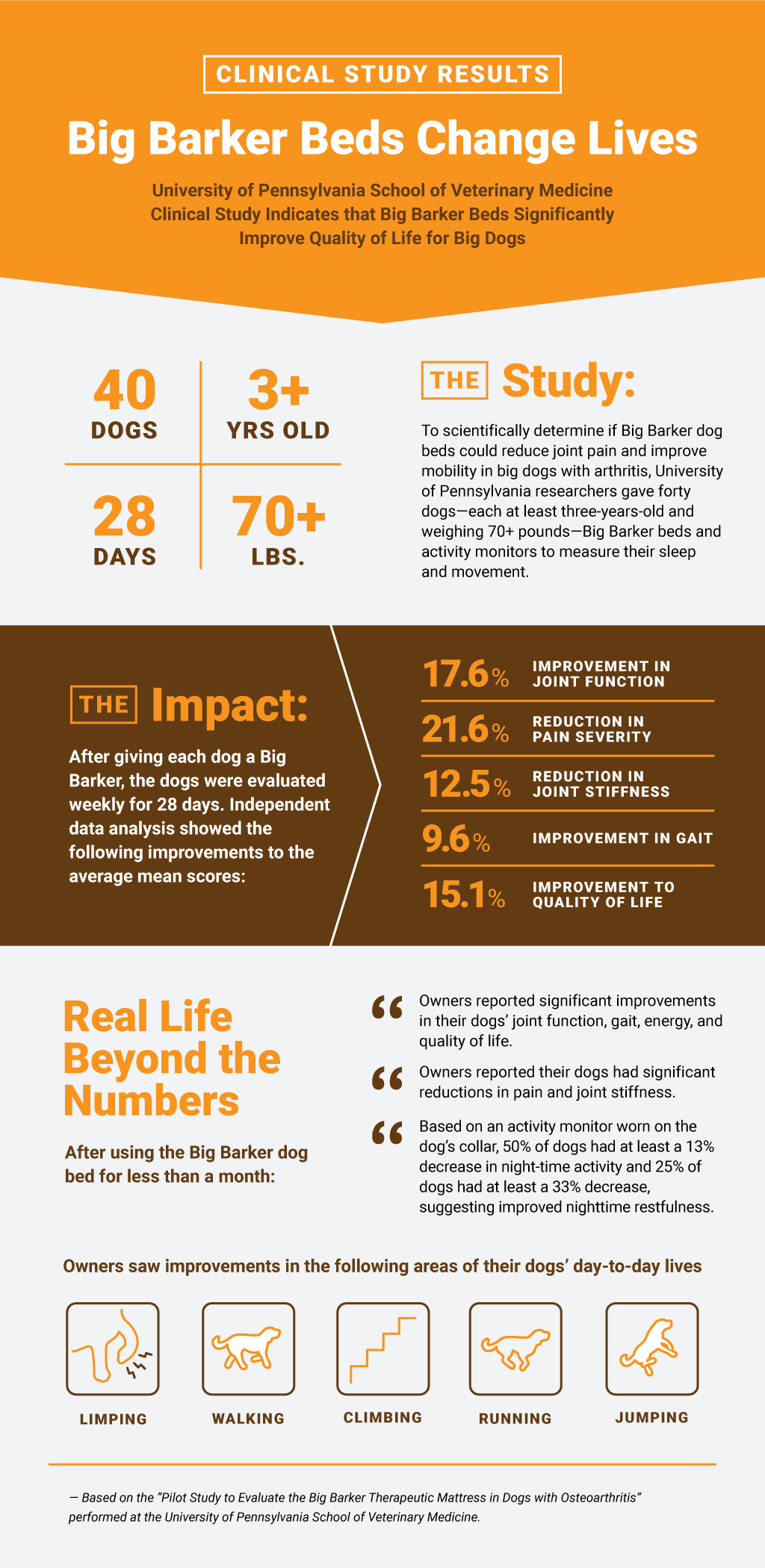 Infographic Real Beds Change Lives by Bigbarker
