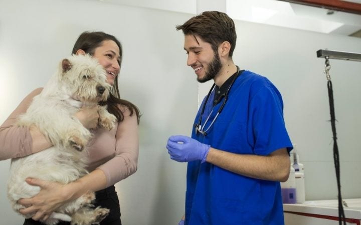 Vet, dog and dog owner at Vet Clinic, What Can I Do If I Can’t Afford a Vet? - I Love Veterinary