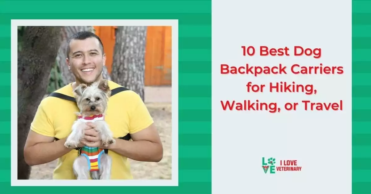 10 Best Dog Backpack Carriers for Hiking, Walking, or Travel - I Love Veterinary