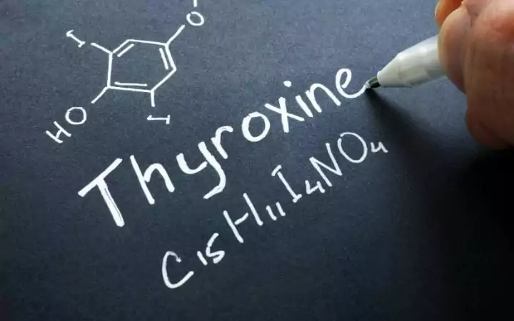 Thyroxine molecule, Hyperthyroidism in Cats - I Love Veterinary
