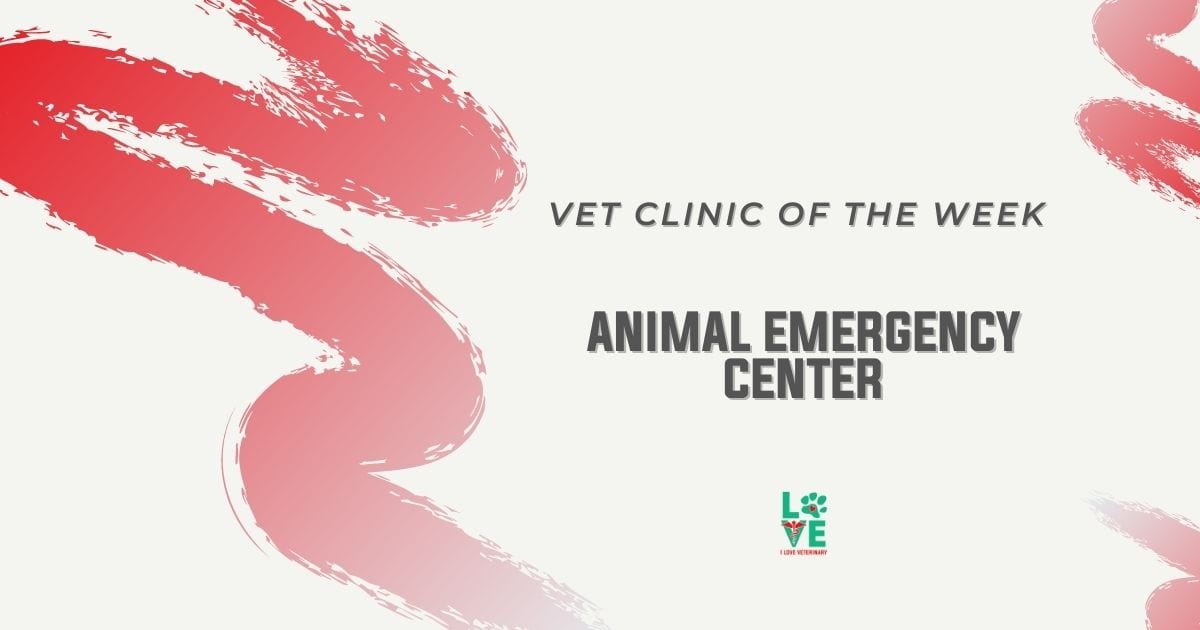 Clínica veterinaria de la semana: Centro de emergencia animal - I Love Veterinary