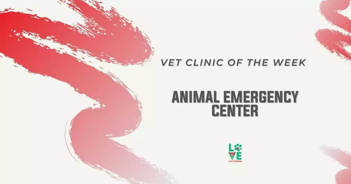 Vet Clinic of the Week: Animal Emergency Center - I Love Veterinary