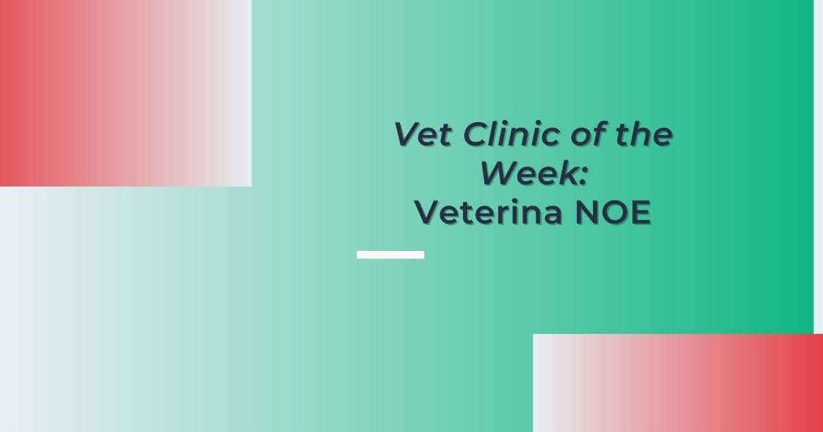 Clínica veterinaria de la semana Veterina NOE - I Love Veterinary