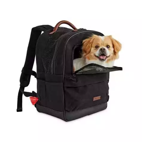 Reddy Black Cotton Canvas Pet Carrier Backpack