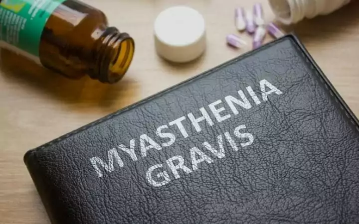Myasthenia Gravis, Canine Megaesophagus - Detection, Causes, and Treatment - I Love Veterinary