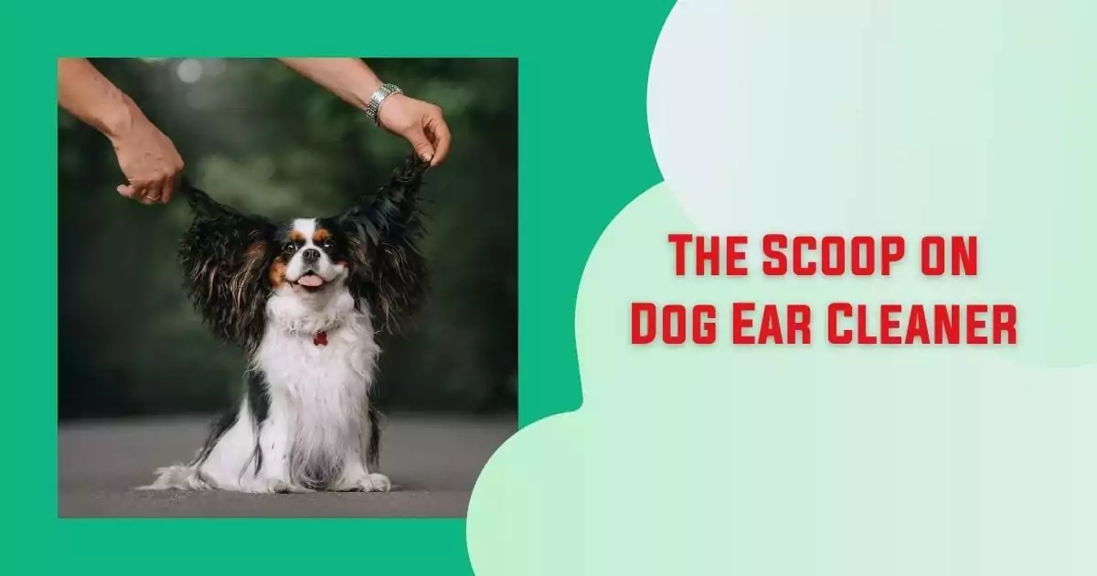 The Scoop on Dog Ear Cleaner - I Love Veterinary