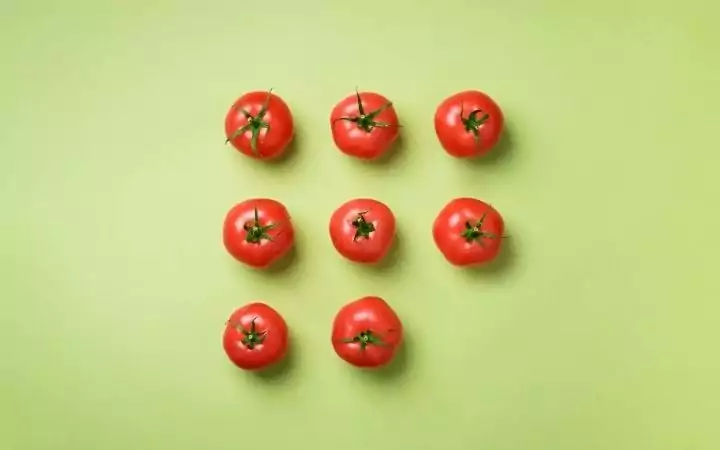 Tomatoes, Can Dogs eat Tomatoes? I Love Veterinary