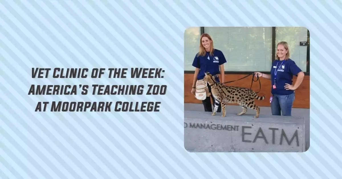 Vet Clinic of the Week - America’s Teaching Zoo at Moorpark College - I Love Veterinary