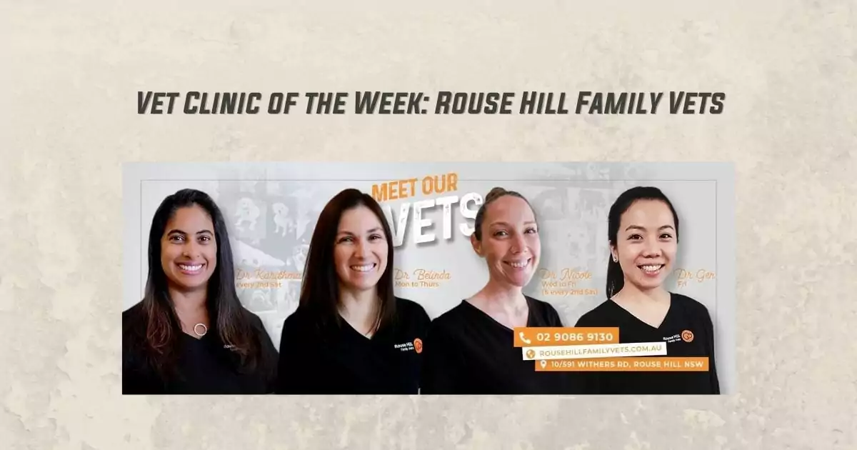 Vet Clinic of the Week - Rouse Hill Family Vets - I Love Veterinary
