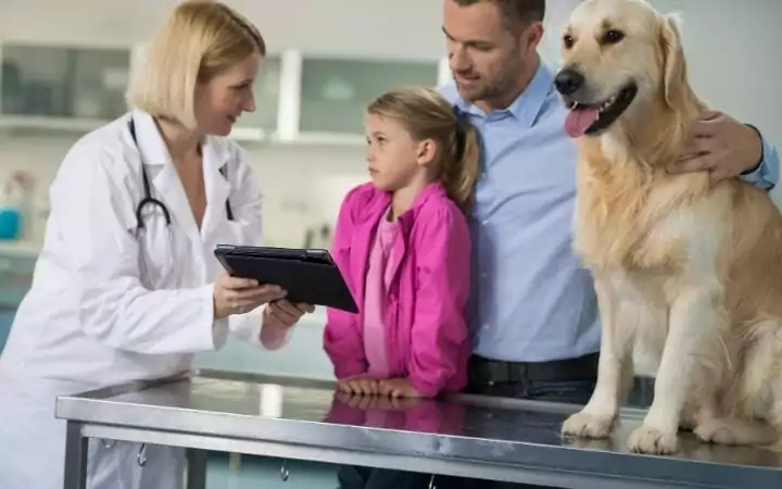 Vet with dog and owners, Unpacking the Symptoms, Treatments and Causes of IMHA - I Love Veterinary