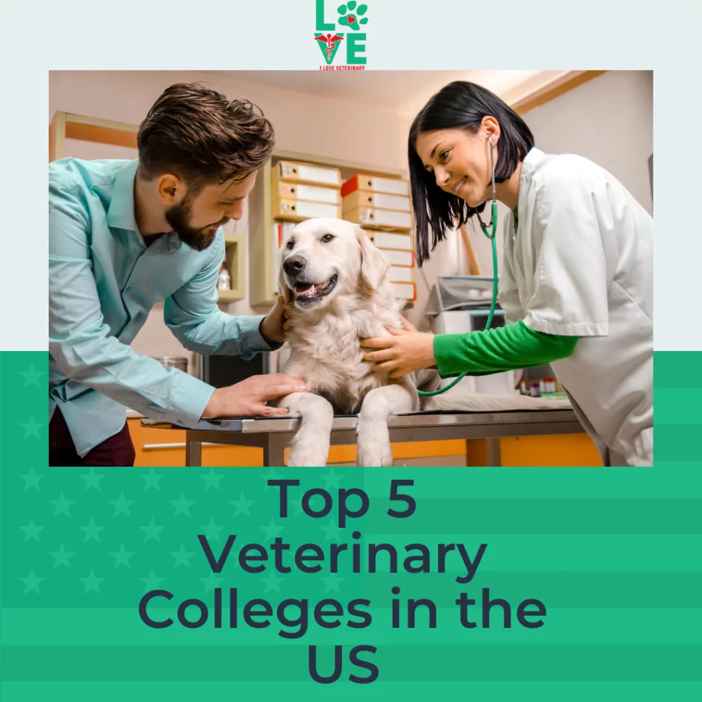 top vet schools in the us
