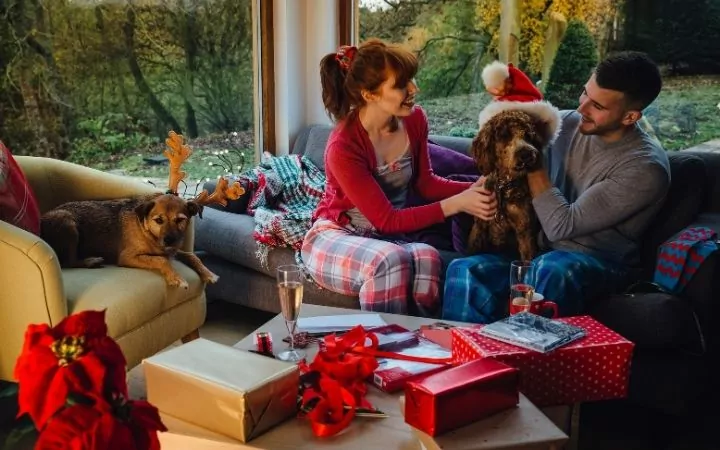Pets at Christmas with their owners, Top Pet Safety Tips for the Festive Season - I Love Veterinary