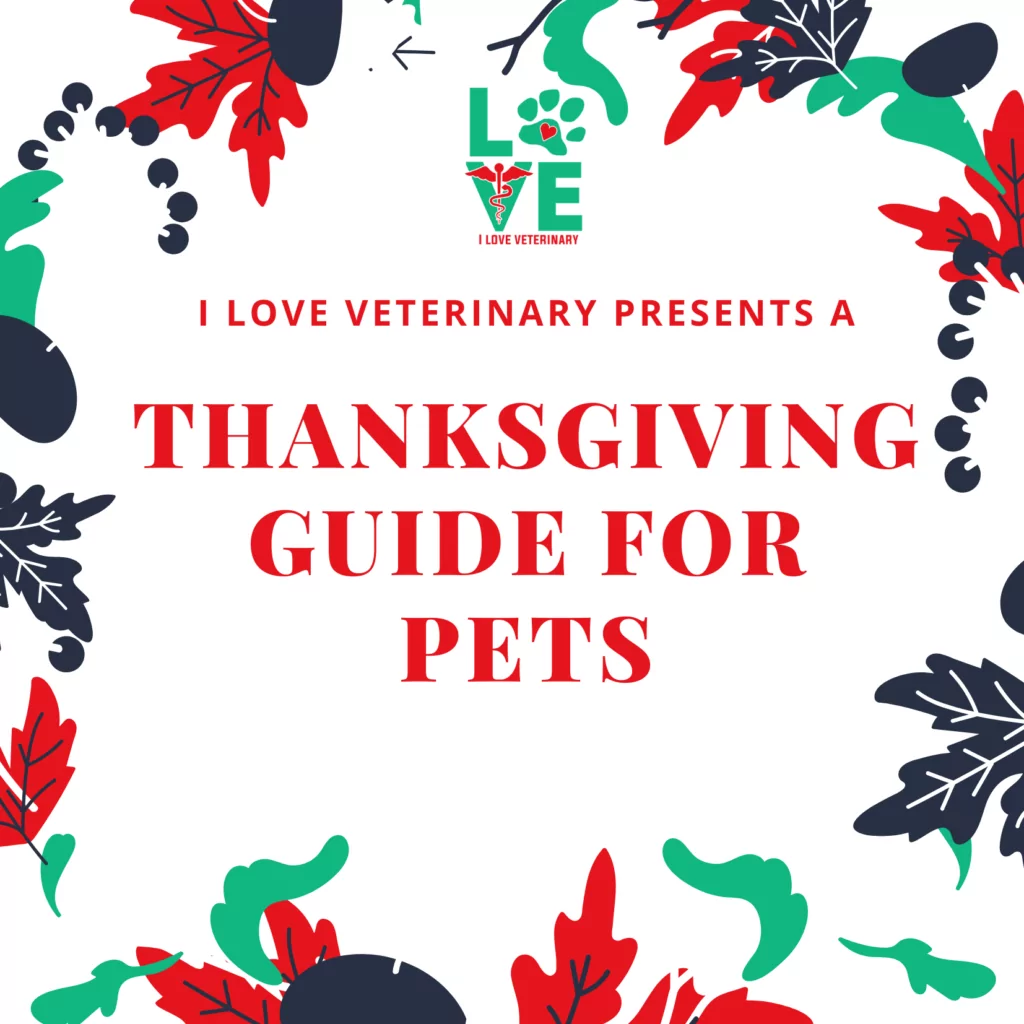 Thanksgiving guide for pets I Love Veterinary - Blog for Veterinarians, Vet Techs, Students