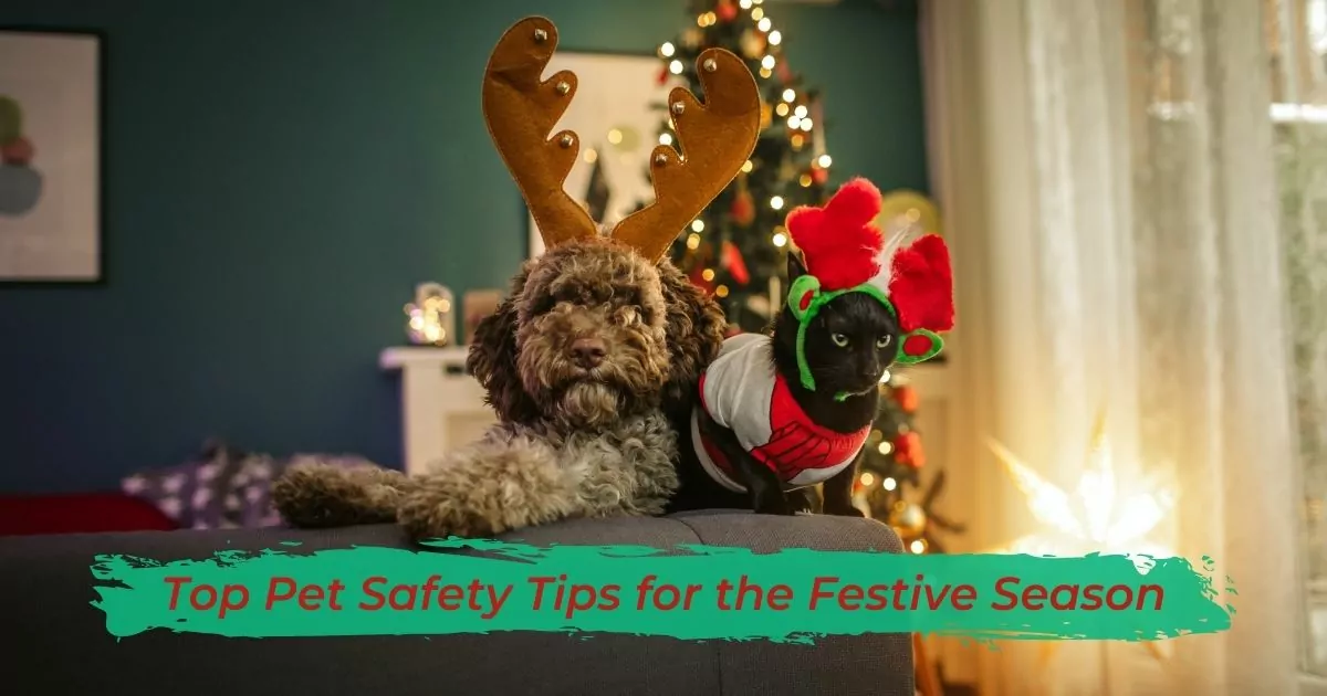 Top Pet Safety Tips for the Festive Season - I Love Veterinary