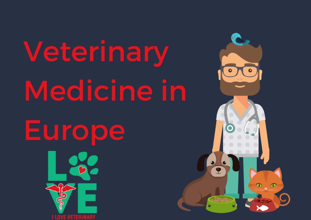 Veterinary Medicine in Europe I Love Veterinary - Blog for Veterinarians, Vet Techs, Students