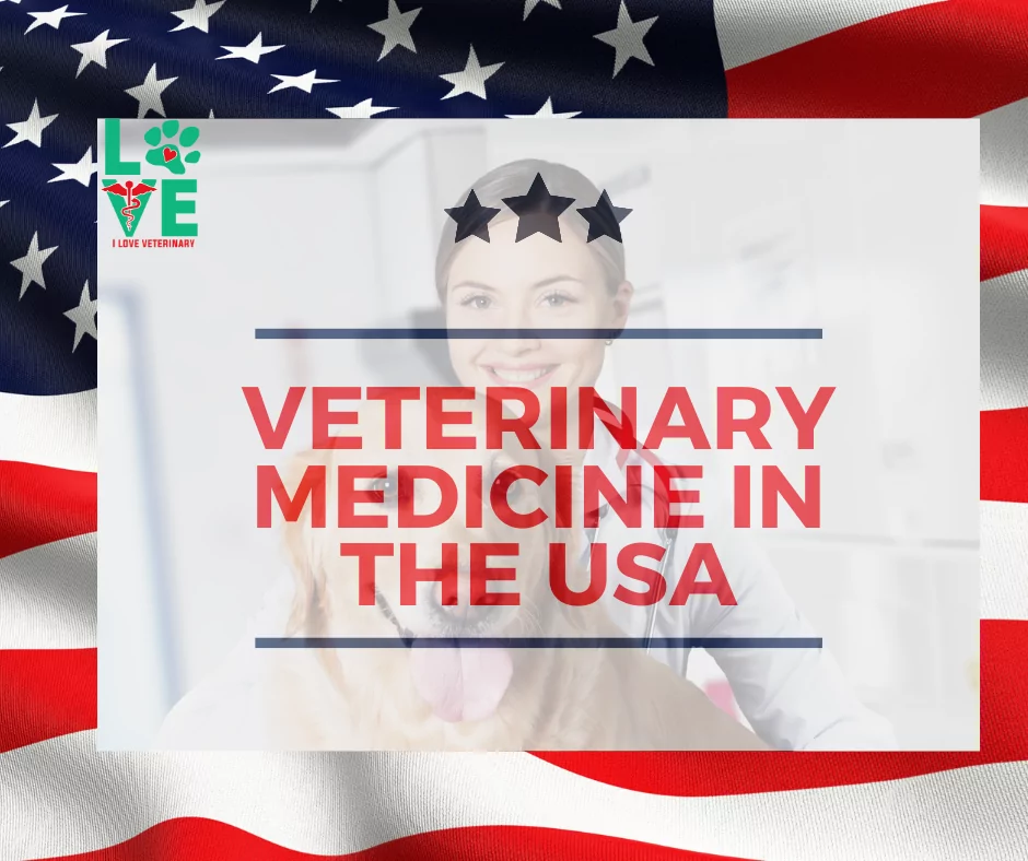 Veterinary Medicine in the USA I Love Veterinary - Blog for Veterinarians, Vet Techs, Students