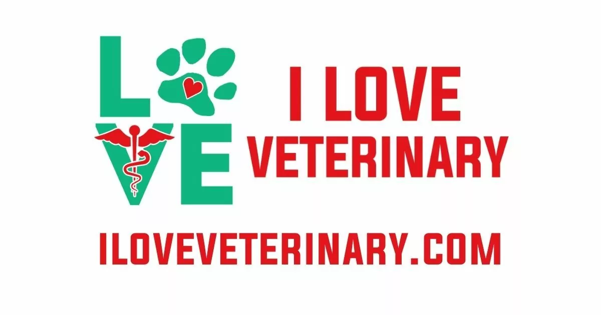 Webinars 1 I Love Veterinary - Blog for Veterinarians, Vet Techs, Students