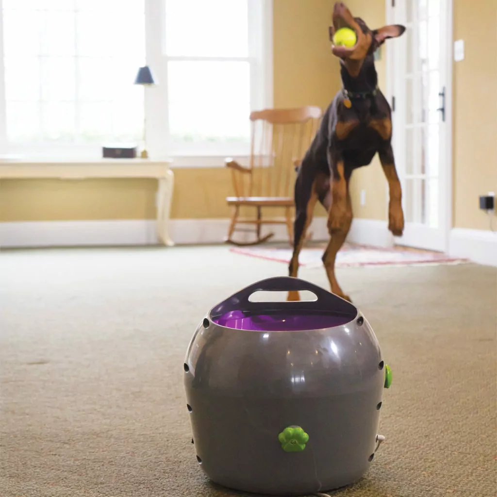 Automatic Ball Launcher, Top 5 Customer Rated Pet Tech Products from Petsafe - I Love Veterinary
