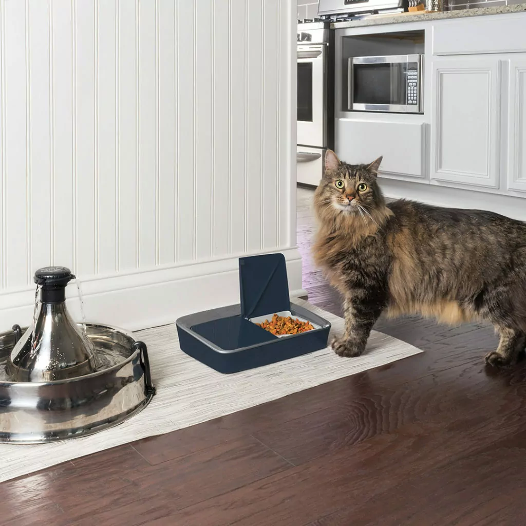 Digital Two Meal Feeder, Top 5 Customer Rated Pet Tech Products from Petsafe - I Love Veterinary