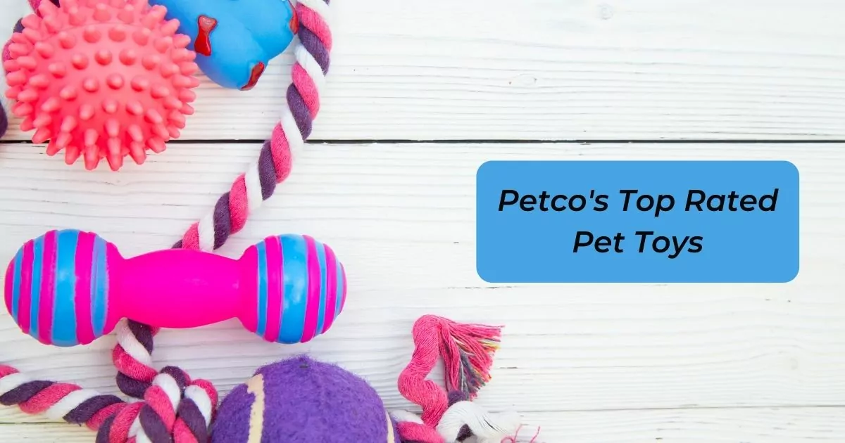 Petco's Top Rated Pet Toys - I Love Veterinary