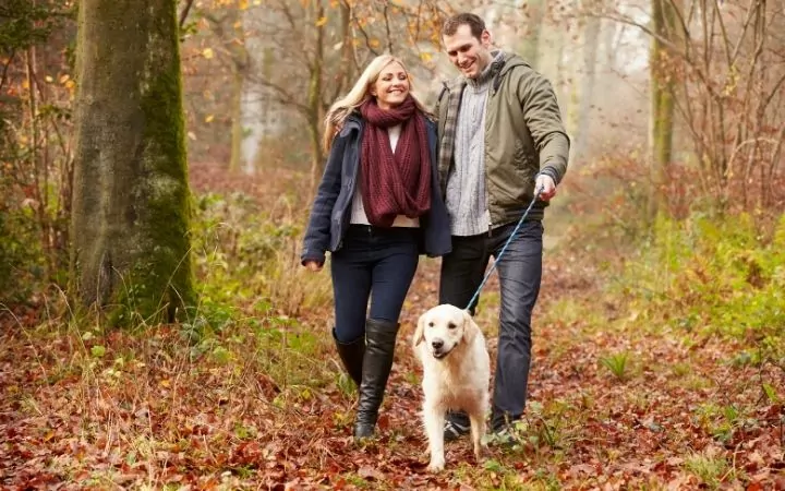 Couple walking dog, Effective Dog Weight Loss Strategies - I Love Veterinary