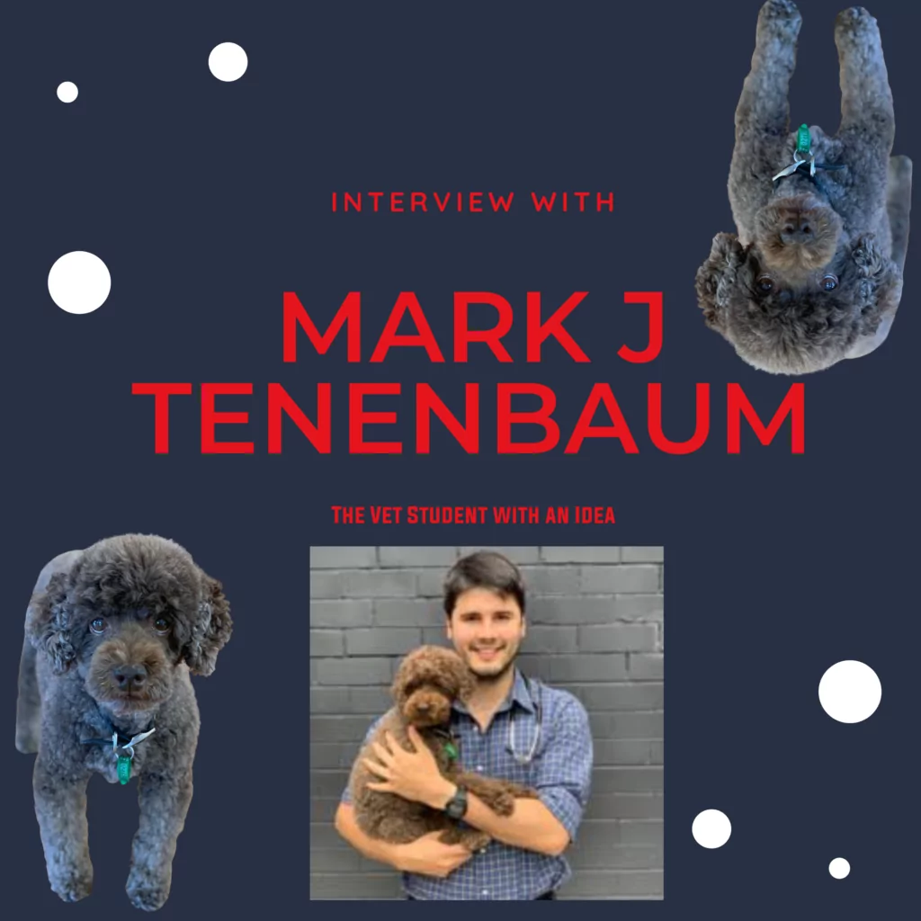 Interview with Mark J Tenenbaum I Love Veterinary - Blog for Veterinarians, Vet Techs, Students