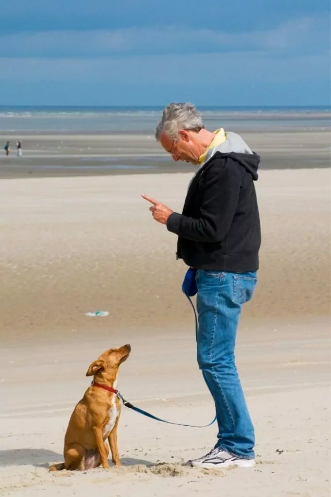 Man training dog on the beach, pointing index finger up 