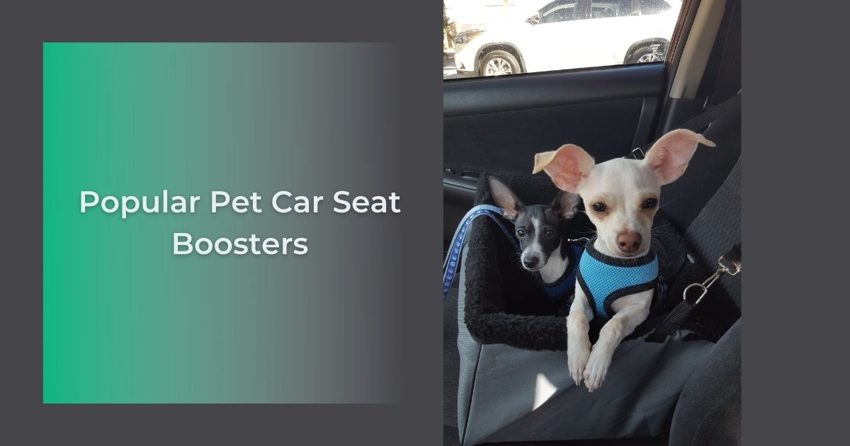 Popular Pet Car Seat Boosters - I Love Veterinary