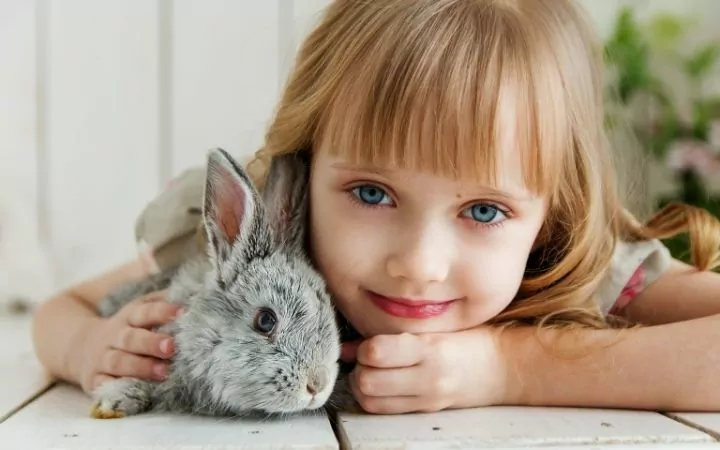 a little girl with blond hair and blue eyes lying on the ground cuddling a grey rabbit