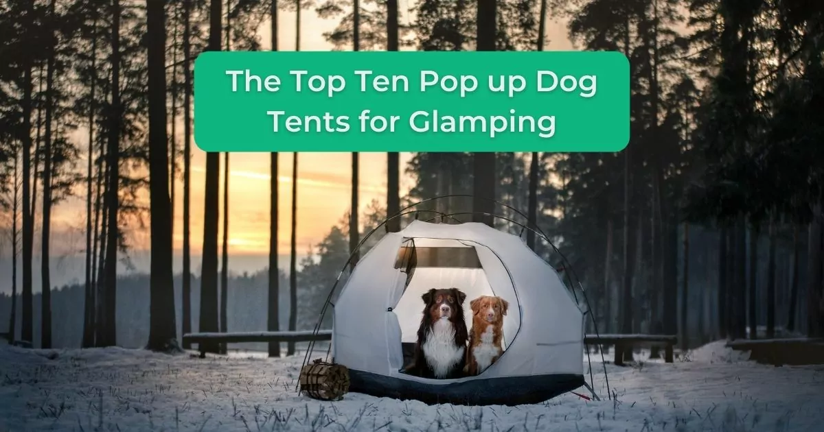 The Top Ten Pop up Dog Tents for Glamping - I Love Veterinary