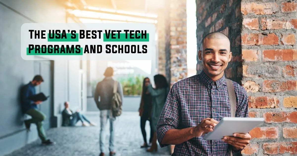 The USA’s Best Vet Tech Programs and Schools - I Love Veterinary