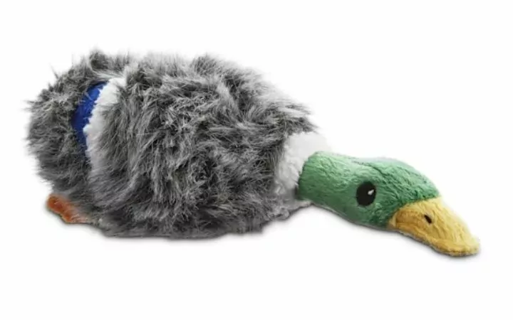 Leaps & Bounds Small Wildlife Mallard Plush Toy, Petco's Top Rated Pet Toys - I Love Veterinary