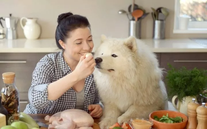Woman cooking in the kitchen with dog - I Love Veterinary