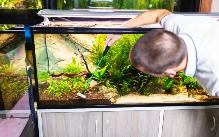 Man cleaning the aquarium - I Love Veterianry
