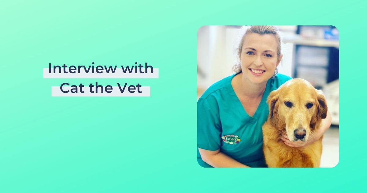 Entrevista con Cat the Vet - I Love Veterinary